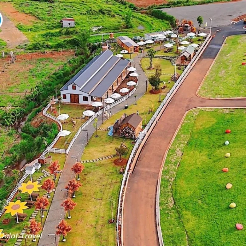 sun-valley-farm-bao-loc-10