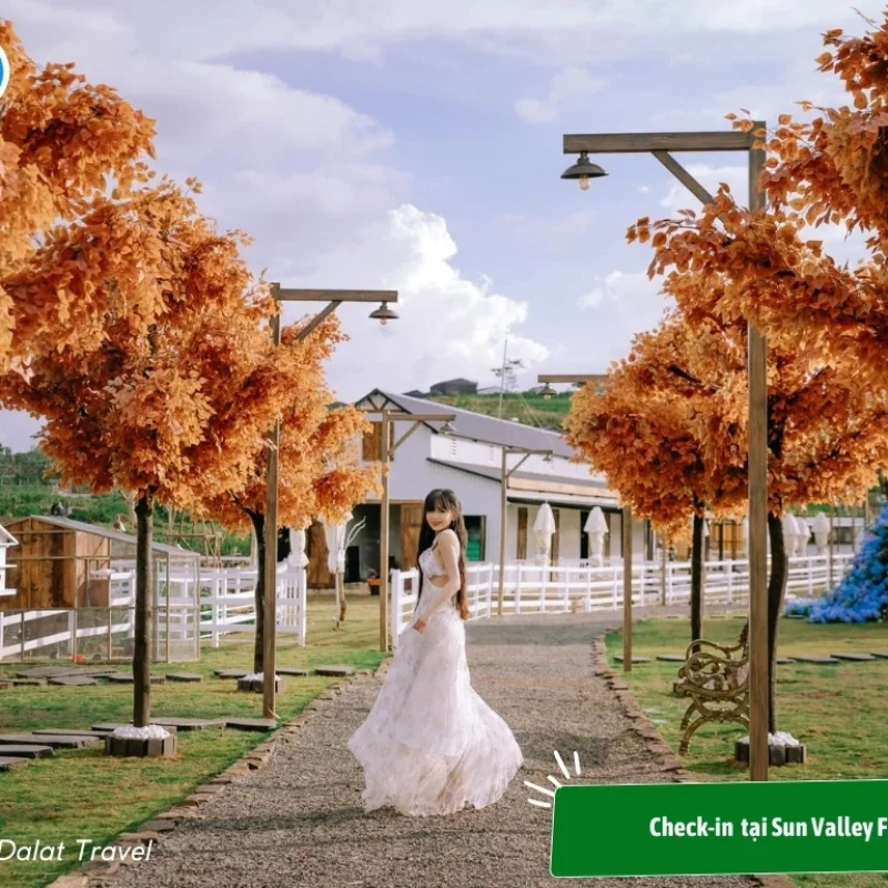 sun-valley-farm-bao-loc-5